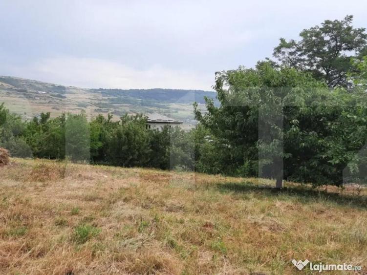 Teren intravilan construibil 2000 mp, Valea Chintaului, curt - 3