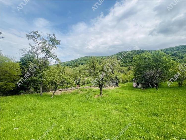 Teren intravilan de 1811 mp situat in Sibiel judetul Sibiu - 6