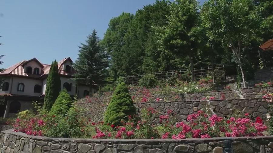 Vila de vanzare in Campina - Lunca Mare, teren 16500 MP - 3