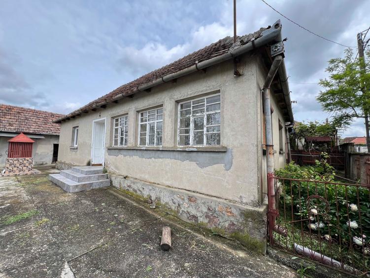Vand casa in Tasad cu teren de 5793mp la asfalt, front stradal de 30m - 8