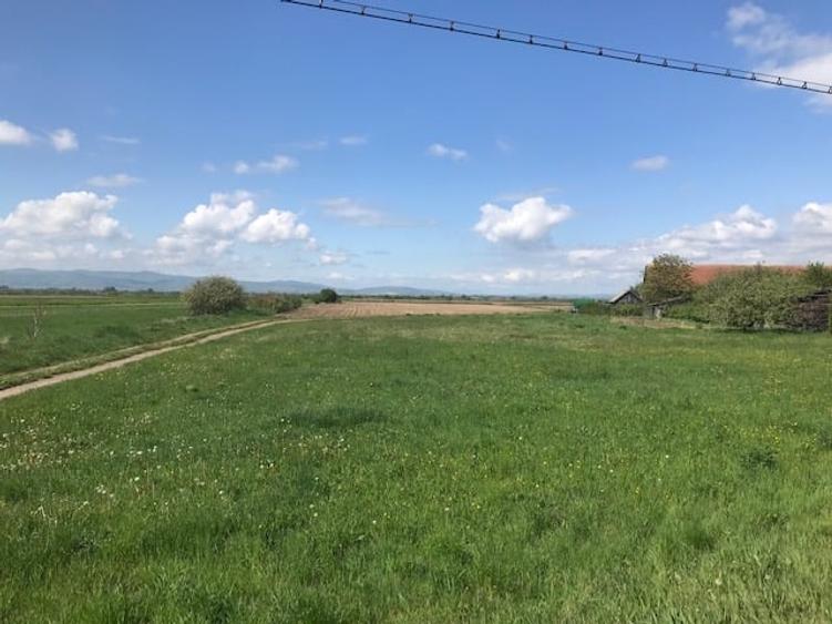 Domeniu de vânzare: 34.530 mp,Casă tip conac,Anexe istorice,perioada interbelică - 9