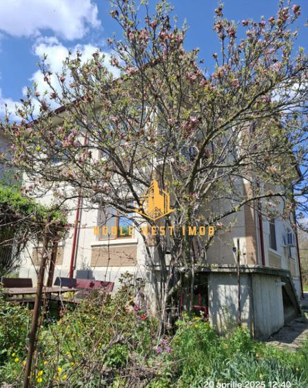 Vila 7 camere, Strada TRIVALE, Teren 1150 mp - COMISION 0% - 15