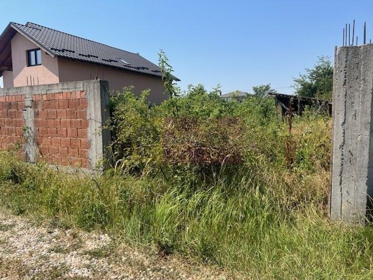 Teren Domnesti- strada Fortului. - 6