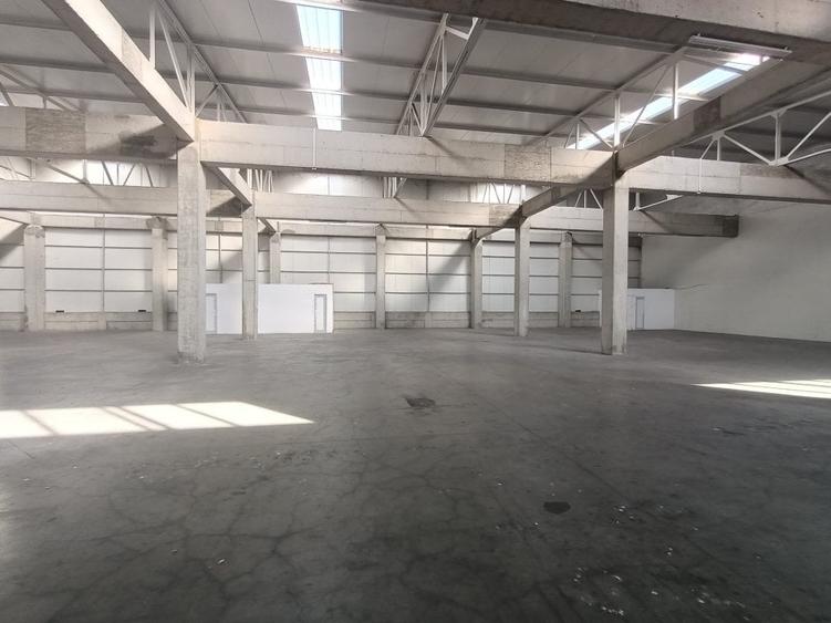 Zona Industriala- hala 310 mp - 1