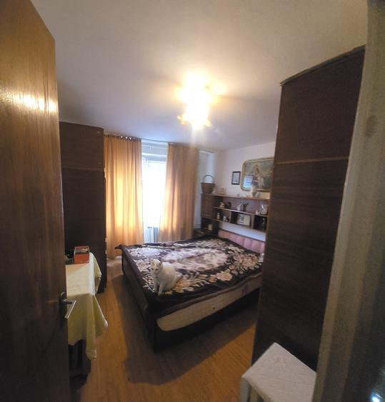 Colentina - Teiul Doamnei - 3