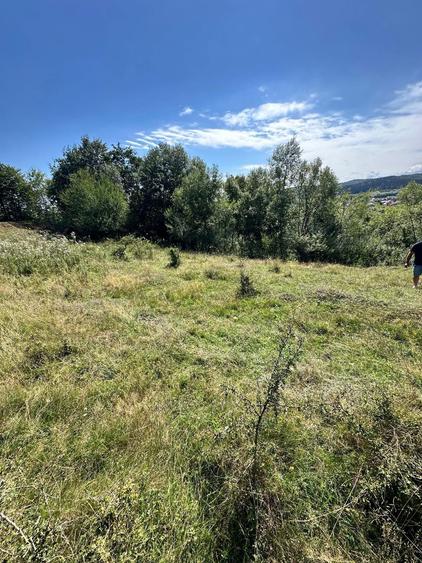 Teren 3.552 mp de vanzare Marginea, zona Dealu Fatului - 4