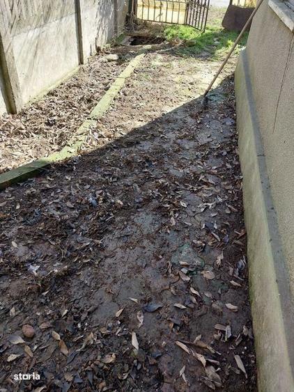 Casa batraneasca in Ovidiu - 3