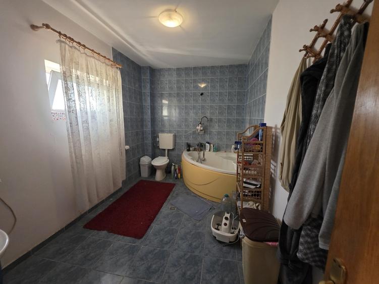 Dristor, Camil Ressu, 15 minute metrou, pe strada Ilioara - 6