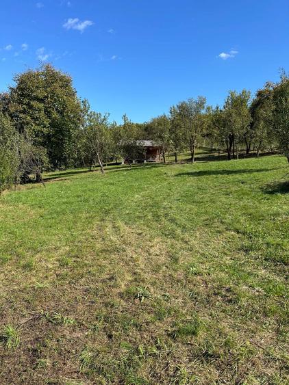 Vand teren in Suceagu, com. Baciu, jud. Cluj! - 2