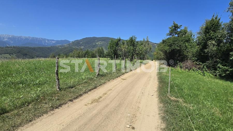 Teren extravilan Bran Podul Simonului - 8