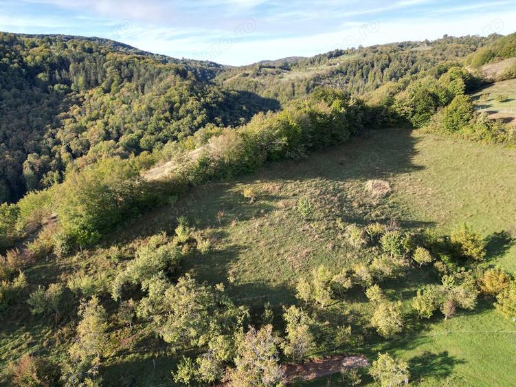 Teren intravilan de vanzare in ?uncuiu? panorama formidabila! - 6