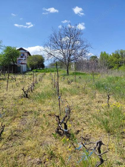 Teren intravilan 3.250 mp in File?ti Ideal pentru casa sau investi?ie! - 19