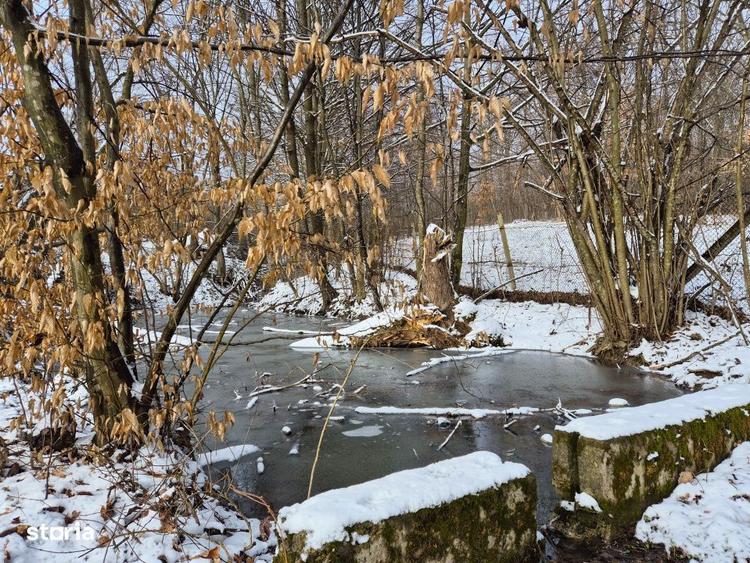 Mosia boiereasca din varf de deal, Scorteni - Prahova, comision 0% - 5