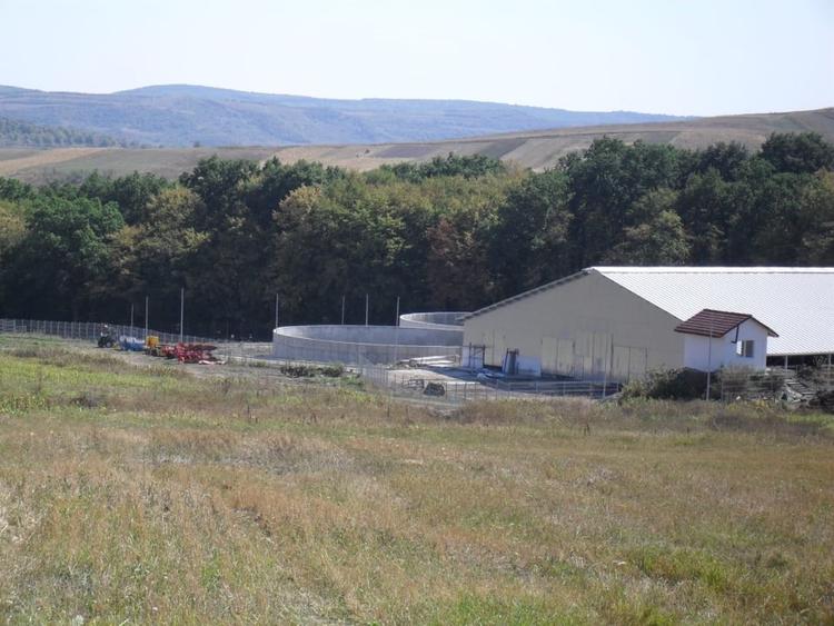 Ferma Zootehnica la standarde Europene - 11