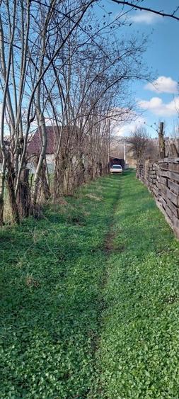 Teren de vanzare - 7