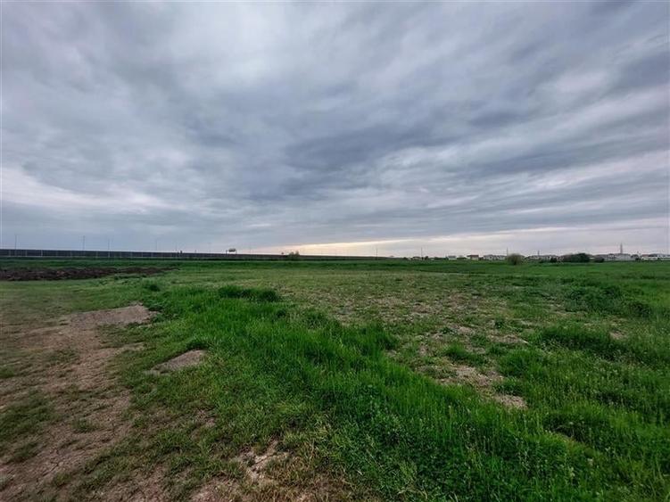 Teren intravilan langa autostrada, Aradul Nou - 3