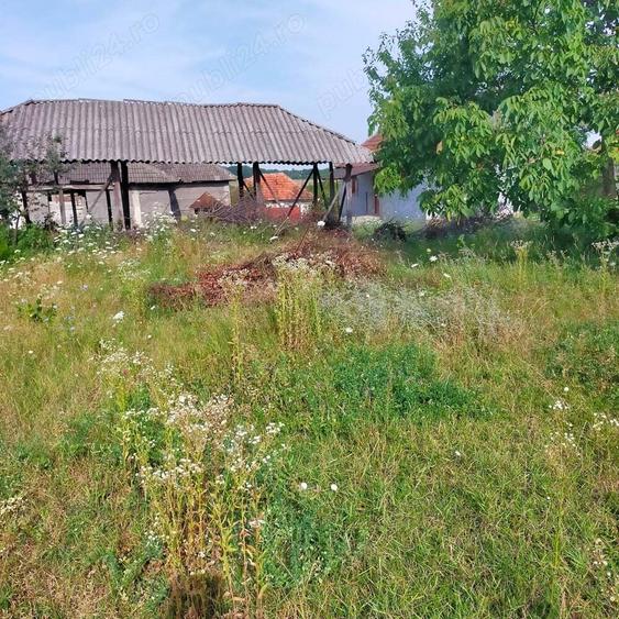 De vanzare teren cu casa. Calea Mare Nr.106 - 4