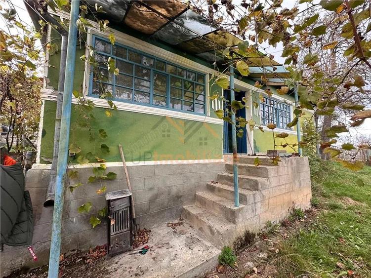 TEREN | 9341 MP | BALNACA GROSI | BIHOR - 11