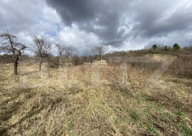 Teren intravilan in suprafata de 2000 mp, zona Episcopiei - 5