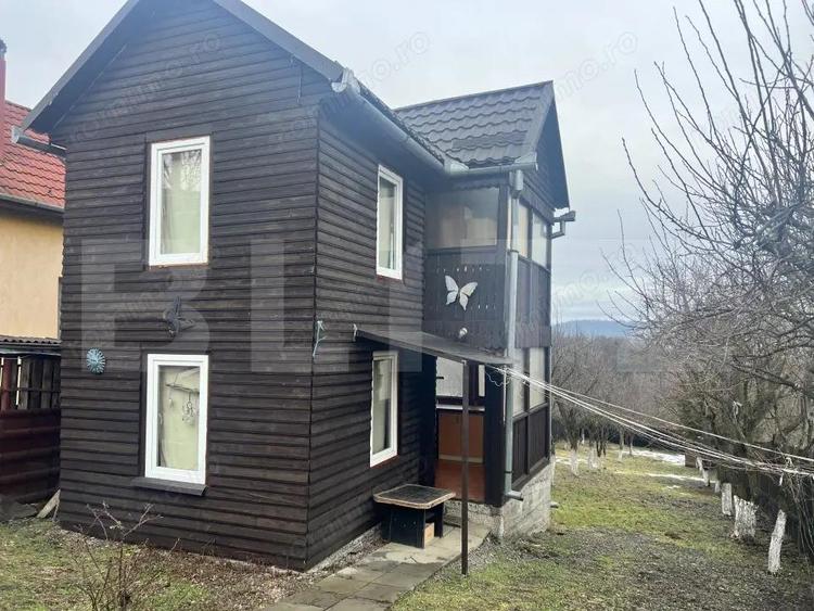 Cabana de lemn- Vatmani - 10