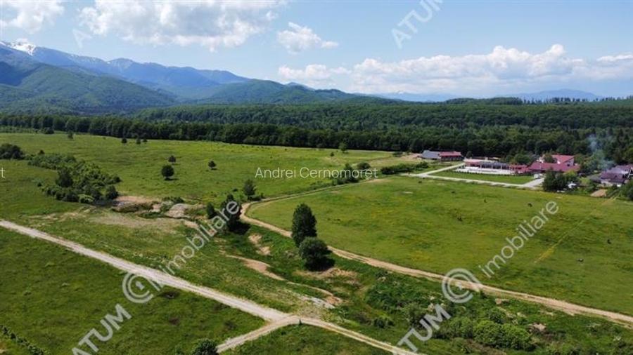 Teren Intravilan 1600 mp in Avrig zona Valea Avrigului