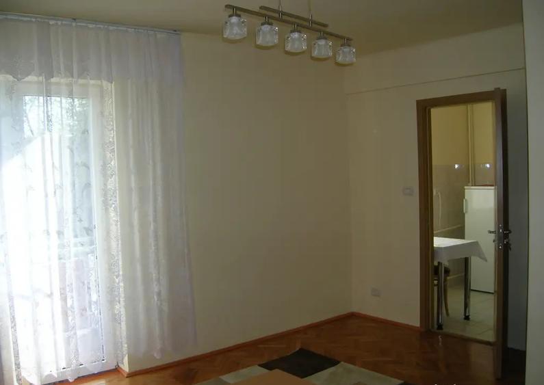 Apartament 1 camera central Podgoria - 7