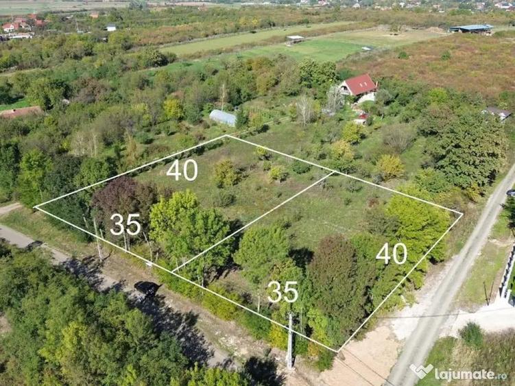 De vanzare Teren Intravilan Viile Satu Mare /Parcelabil/Z... - 1