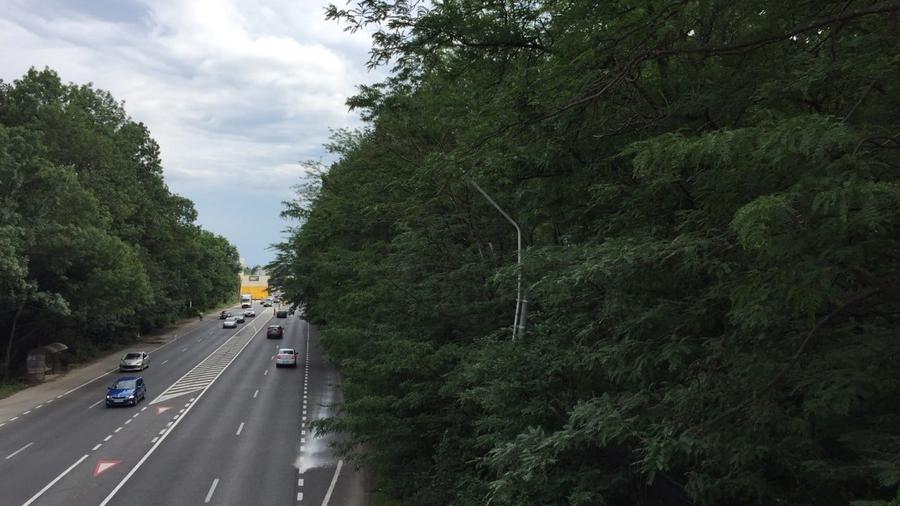 REL4000144 Teren DN1 - Padurea Petresti - 3