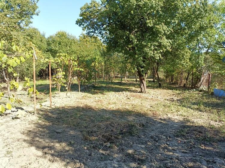 Proprietar vand Casa cu teren 1070m2 in Timisoara straza Muzicescu /girocului - 4