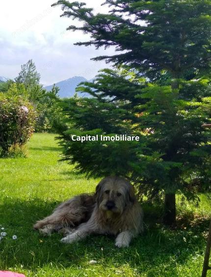 House for sale, 5 Rooms, 180 sqm, Valea Dejani - 1