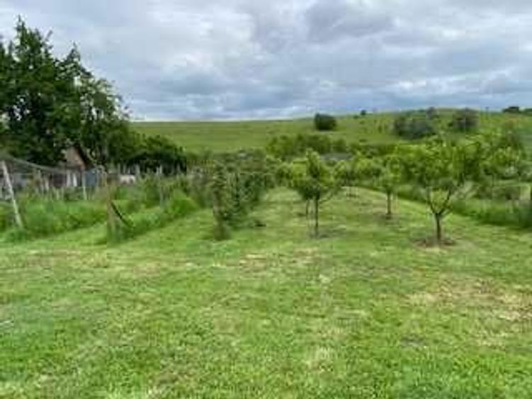 Proprietate de exceptie - 8