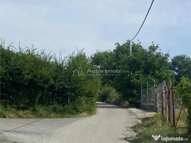 Teren de in Rasinari posibilitate de racordare la curentul - 2