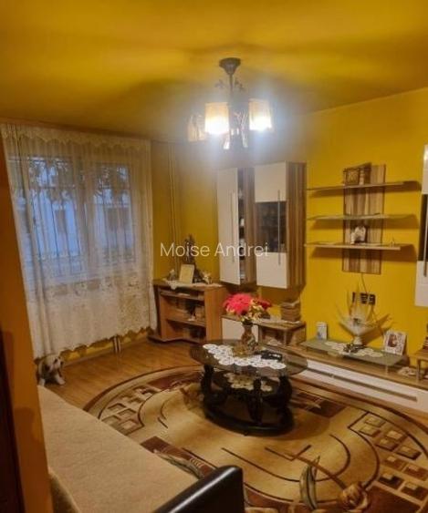 Apartament 2 camere parter plus balcon bloc de 4 etaje reabilitat