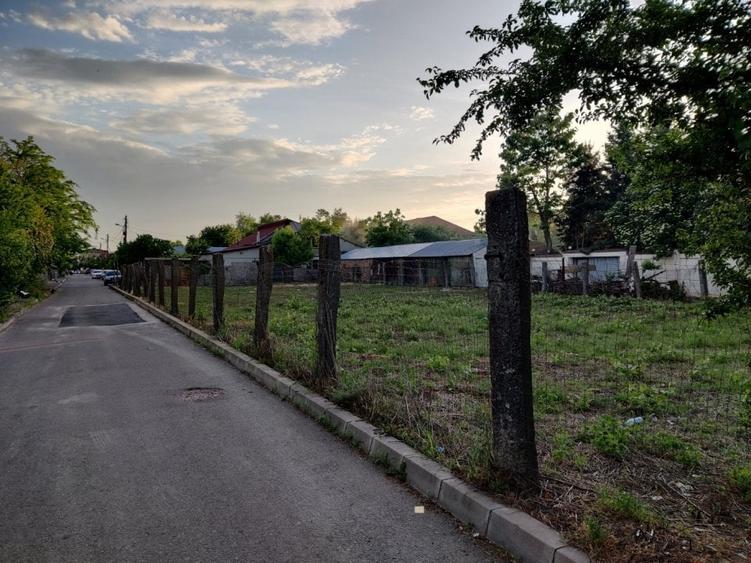 Teren Straulesti 500mp - 10