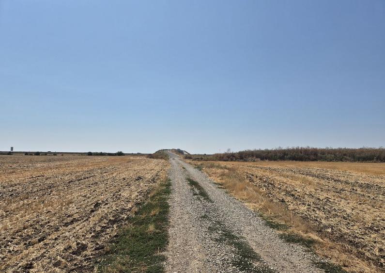 Teren intravilan 4428 mp - Balotesti - 4