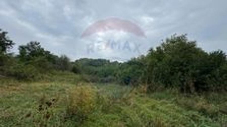 Teren 3542mp Campia Turzii COMISION 0% - 4