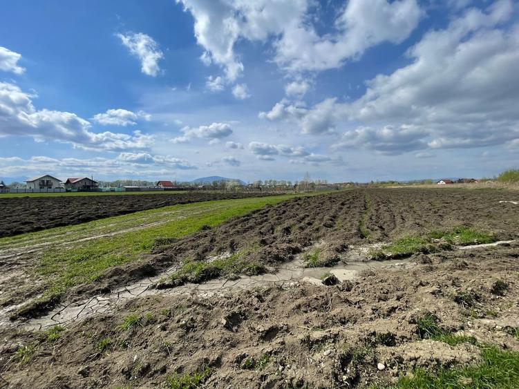 Lot de casa Stupini 480mp! - 1