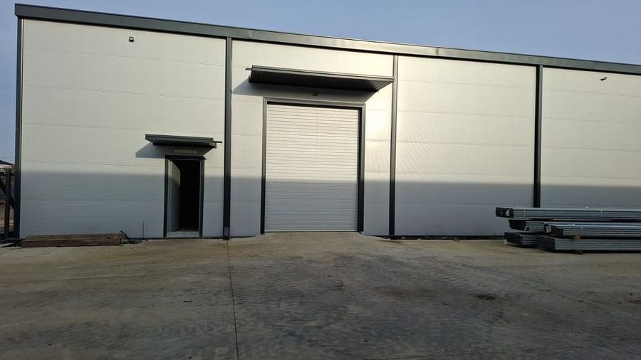 Hale de inchiriat - Otopeni - 10