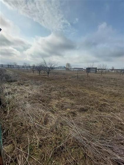 Teren intravilan de vanzare 28094 mp pentru investitii Bizighesti - 7