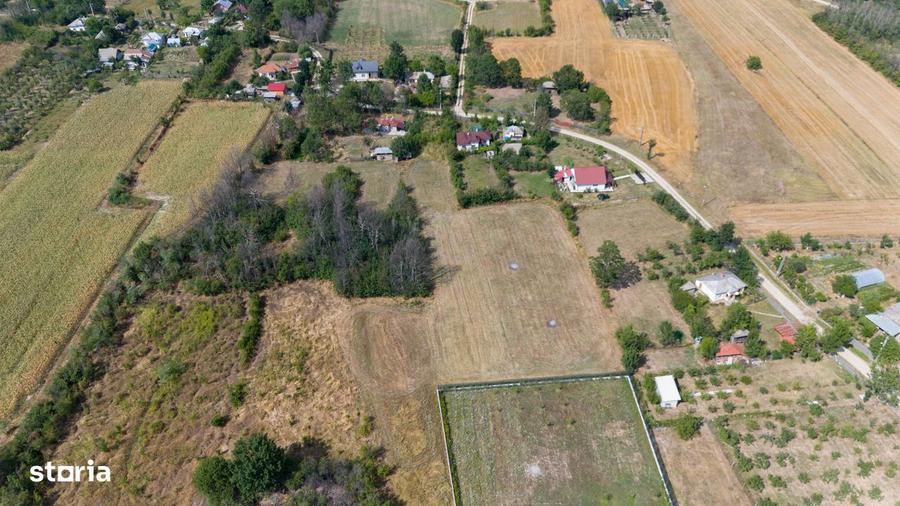 Proprietar teren intravilan, comuna Suseni, sat Galesesti 4760mp - 1