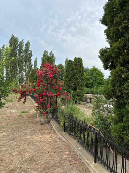 Casa tip vila, 9 camere, teren 3400 mp Garoafa, aproape de Focsani - 2