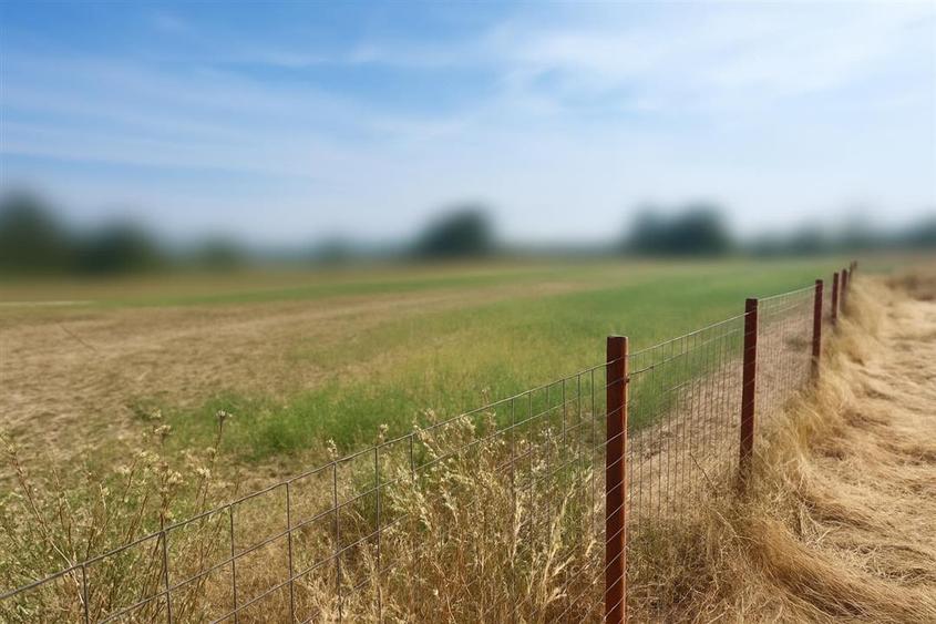 Teren intravilan de vanzare Lipanesti, parcelabil in loturi de 1000 mp - 1