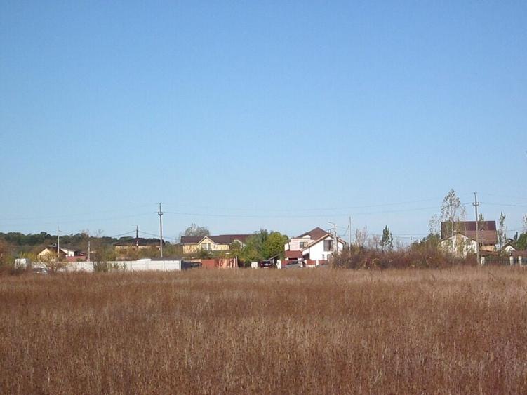 Teghes-Caragea Voda - 13