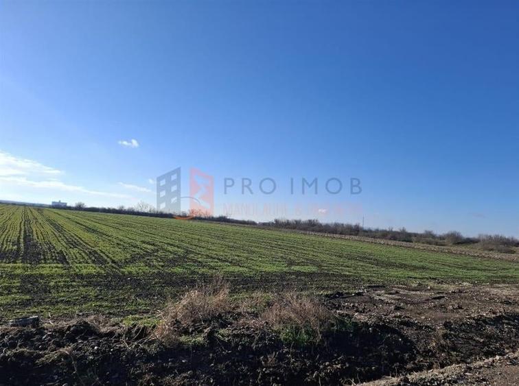 Teren intravilan 2461 mp zona Vadu pasii Nod rutier Autostrada A7 - 2