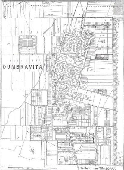 695mp, 2fs,Dumbravita, 160E/mp - 1