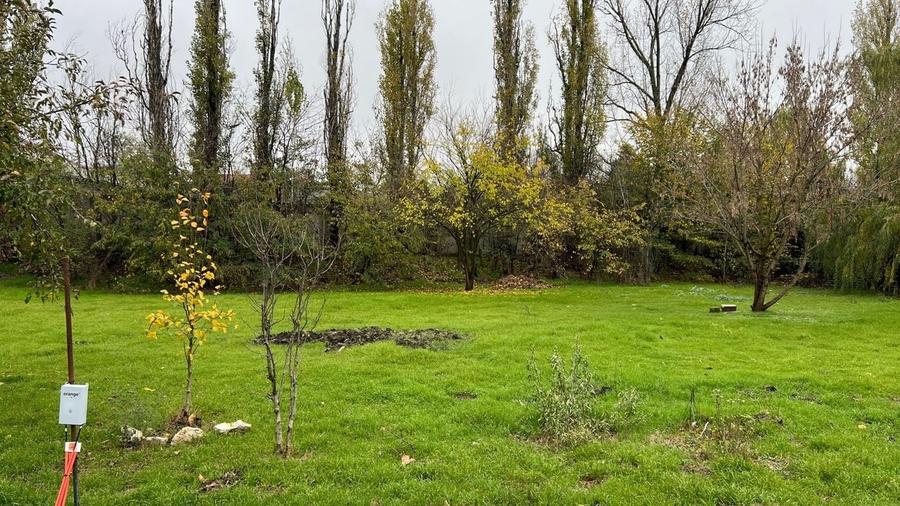 584 mp | Teren liber | Ideal locuinta | Zona pazita - 9