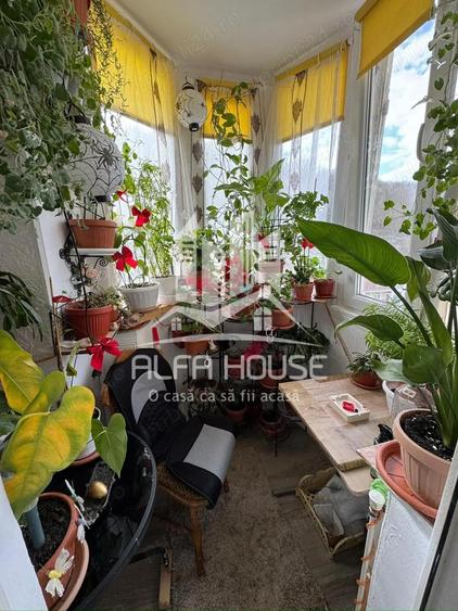 Vand 3 camere Decomandat zona Centrala - 10