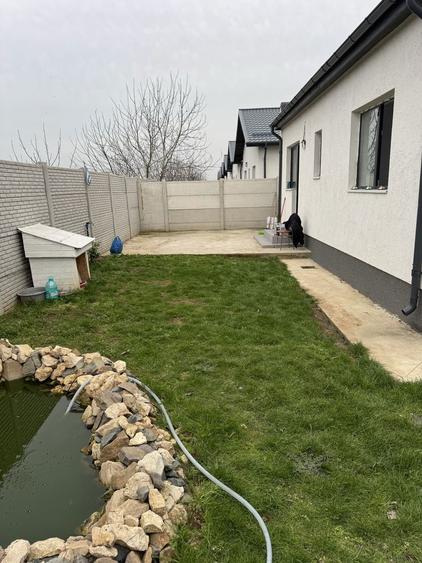 Vanzare casa Magurele Ifov - 3