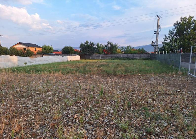 Reco, teren intravilan Alesd - 16