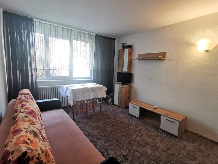 Garsoniera de inchiriat zona Parcului Eminescu - 2